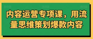 内容运营专项课，用流量思维策划爆款内容-阳知网创资源库