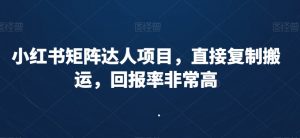小红书矩阵达人项目,直接复制搬运,回报率非常高-阳知网创资源库