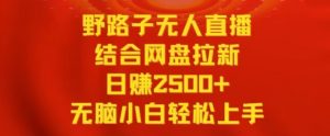 野路子无人直播结合网盘拉新,日赚2500+,小白无脑轻松上手【揭秘】-阳知网创资源库