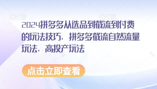 2024拼多多从选品到截流到付费的玩法技巧,拼多多截流自然流量玩法,高投产玩法-阳知网创资源库