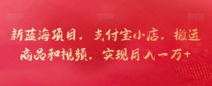 新蓝海项目,支付宝小店,搬运商品和视频,实现月入一万+【揭秘】-阳知网创资源库