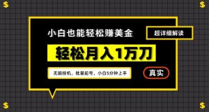 谷歌看广告撸美金2.0,无脑挂机,多号操作,月入1万刀【揭秘】-阳知网创资源库