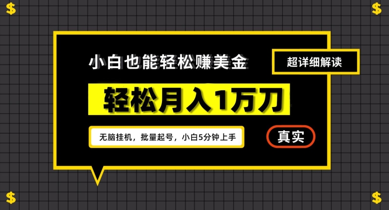 谷歌看广告撸美金2.0,无脑挂机,多号操作,月入1万刀【揭秘】-阳知网创资源库