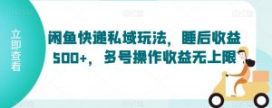 闲鱼快递私域玩法，睡后收益500+，多号操作收益无上限【揭秘】-阳知网创资源库