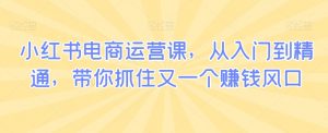 小红书电商运营课,从入门到精通,带你抓住又一个赚钱风口-阳知网创资源库