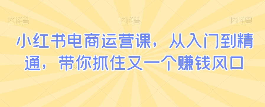 小红书电商运营课,从入门到精通,带你抓住又一个赚钱风口-阳知网创资源库