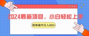2024最新项目，红娘项目，简单操作轻松日入800+【揭秘】-阳知网创资源库