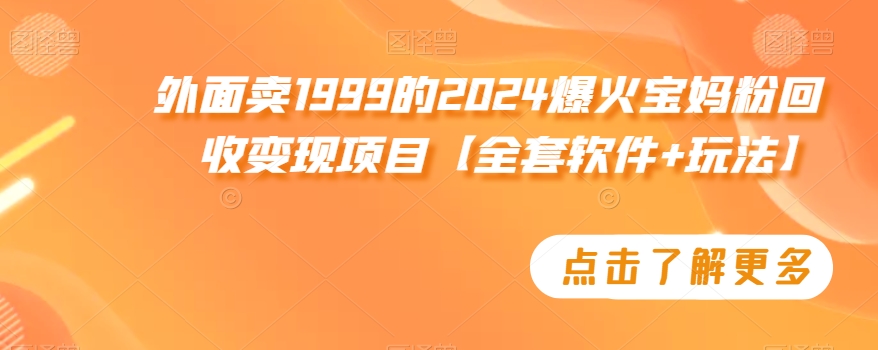 外面卖1999的2024爆火宝妈粉回收变现项目【全套软件+玩法】【揭秘】-阳知网创资源库