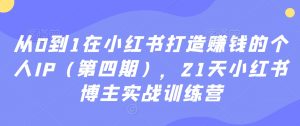 从0到1在小红书打造赚钱的个人IP(第四期),21天小红书博主实战训练营-阳知网创资源库