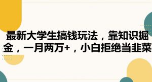 最新大学生搞钱玩法，靠知识掘金，一月两万+，小白拒绝当韭菜【揭秘】-阳知网创资源库