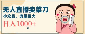 无人冷门品直播新玩法，通过卖菜刀日入1000+【揭秘】-阳知网创资源库