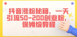 抖音涨粉秘籍,一天引流50-200创业粉,保姆级教程【揭秘】-阳知网创资源库