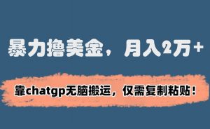 暴力撸美金，月入2万+！靠chatgp无脑搬运，仅需复制粘贴【揭秘】-阳知网创资源库