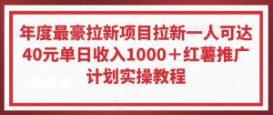 年度最豪拉新项目拉新一人可达40元单日收入1000+红薯推广计划实操教程【揭秘】-阳知网创资源库