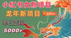 小红书女粉头像项目,单日变现5000+,适合在家做的副业,长期稳定【揭秘】-阳知网创资源库
