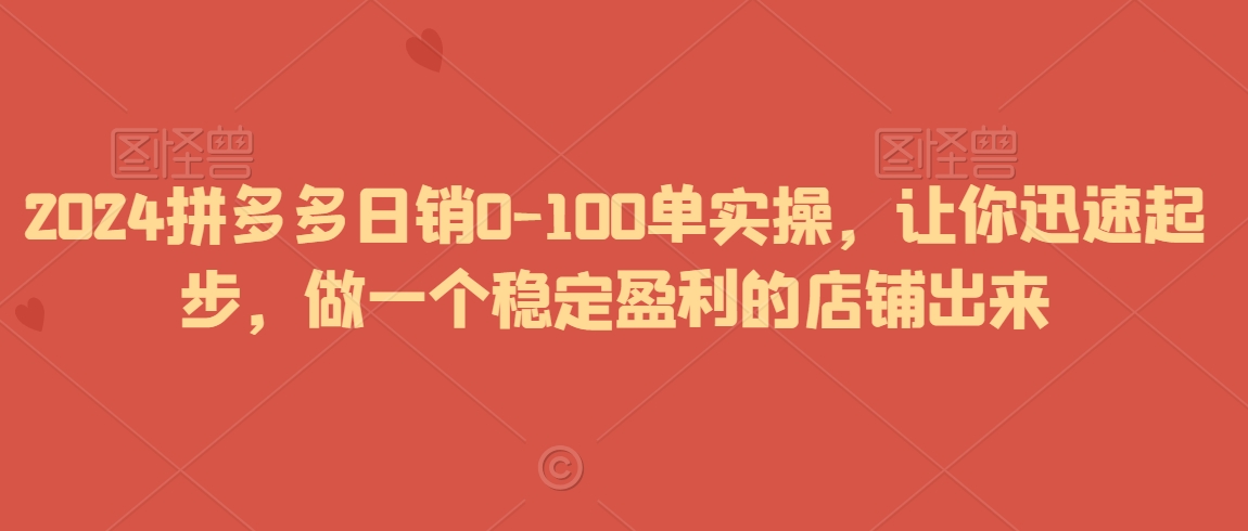 2024拼多多日销0-100单实操,让你迅速起步,做一个稳定盈利的店铺出来-阳知网创资源库
