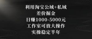 利用淘宝公域+私域差价掘金，日赚1000-5000元，工作室可放大操作，实操稳定半年【揭秘】-阳知网创资源库
