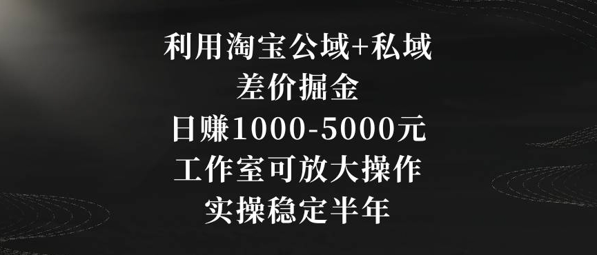 利用淘宝公域+私域差价掘金,日赚1000-5000元,工作室可放大操作,实操稳定半年【揭秘】-阳知网创资源库
