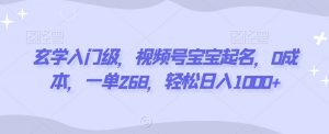 玄学入门级，视频号宝宝起名，0成本，一单268，轻松日入1000+【揭秘】-阳知网创资源库