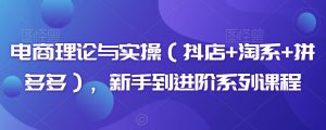 电商理论与实操(抖店+淘系+拼多多),新手到进阶系列课程-阳知网创资源库