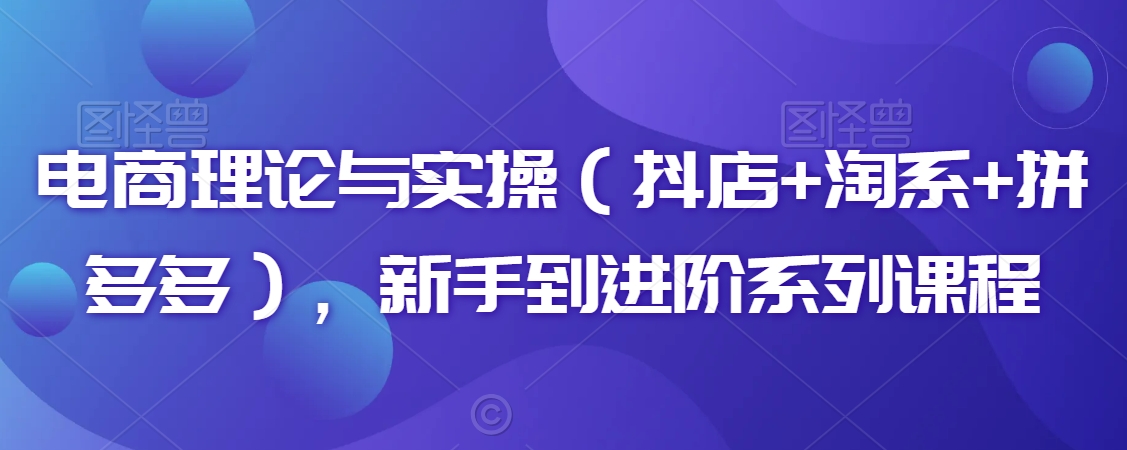 电商理论与实操(抖店+淘系+拼多多),新手到进阶系列课程-阳知网创资源库