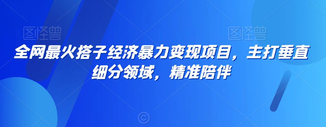 全网最火搭子经济暴力变现项目,主打垂直细分领域,精准陪伴【揭秘】-阳知网创资源库