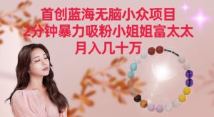 首创蓝海无脑小众项目，2分钟暴力吸粉小姐姐富太太，月入几十万【揭秘】-阳知网创资源库