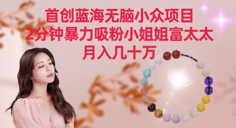 首创蓝海无脑小众项目,2分钟暴力吸粉小姐姐富太太,月入几十万【揭秘】-阳知网创资源库