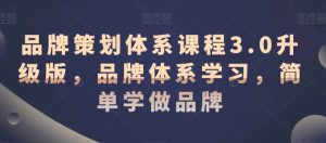 品牌策划体系课程3.0升级版,品牌体系学习,简单学做品牌-阳知网创资源库