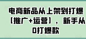 电商新品从上架到打爆【推广+运营】,新手从0打爆款-阳知网创资源库
