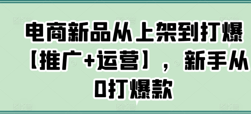 电商新品从上架到打爆【推广+运营】,新手从0打爆款-阳知网创资源库
