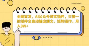 全网首发，AI公众号爆文插件，只需一款插件全自动输出爆文，矩阵操作，月入3W+【揭秘】-阳知网创资源库