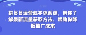 拼多多运营必学体系课,带你了解最新流量获取方法、帮助你降低推广成本-阳知网创资源库