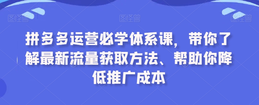 拼多多运营必学体系课,带你了解最新流量获取方法、帮助你降低推广成本-阳知网创资源库