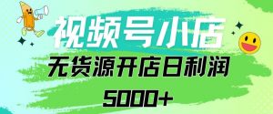 视频号无货源小店从0到1日订单量千单以上纯利润稳稳5000+【揭秘】-阳知网创资源库