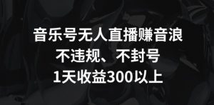 音乐号无人直播赚音浪，不违规、不封号，1天收益300+【揭秘】-阳知网创资源库