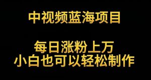 中视频蓝海项目，解读英雄人物生平，每日涨粉上万，小白也可以轻松制作，月入过万不是梦【揭秘】-阳知网创资源库