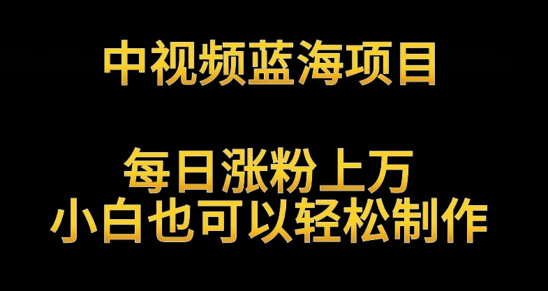 中视频蓝海项目,解读英雄人物生平,每日涨粉上万,小白也可以轻松制作,月入过万不是梦【揭秘】-阳知网创资源库