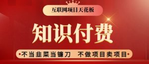 2024互联网项目天花板，新手小白也可以通过知识付费月入10W，实现财富自由【揭秘】-阳知网创资源库
