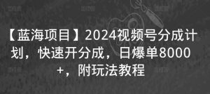 【蓝海项目】2024视频号分成计划，快速开分成，日爆单8000+，附玩法教程-阳知网创资源库