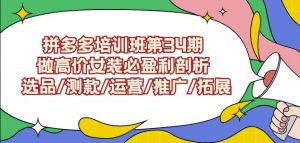 拼多多培训班第34期:做高价女装必盈利剖析选品/测款/运营/推广/拓展-阳知网创资源库