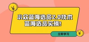 拼多多培训第33期:小众蓝海选品2.0技术-蓝海选品实操!-阳知网创资源库