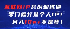 互联网IP共创训练课,零门槛零基础打造个人IP,月入10w+不是梦【揭秘】-阳知网创资源库