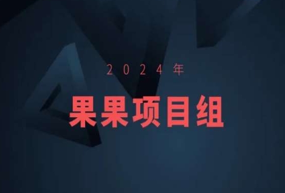 2024年果果项目组项目合集-果果最新项目-阳知网创资源库