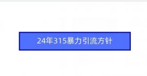 24年315暴力引流方针-阳知网创资源库
