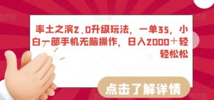 率土之滨2.0升级玩法,一单35,小白一部手机无脑操作,日入2000+轻轻松松【揭秘】-阳知网创资源库