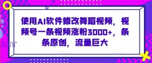 使用AI软件修改舞蹈视频，视频号一条视频涨粉3000+，条条原创，流量巨大【揭秘】-阳知网创资源库