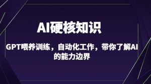 AI硬核知识-GPT喂养训练,自动化工作,带你了解AI的能力边界(10节课)-阳知网创资源库