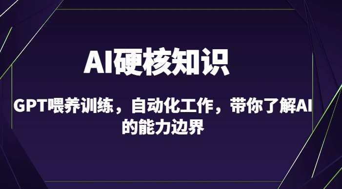 AI硬核知识-GPT喂养训练,自动化工作,带你了解AI的能力边界(10节课)-阳知网创资源库