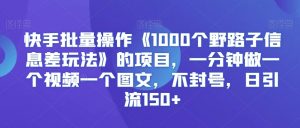 快手批量操作《1000个野路子信息差玩法》的项目,一分钟做一个视频一个图文,不封号,日引流150+【揭秘】-阳知网创资源库